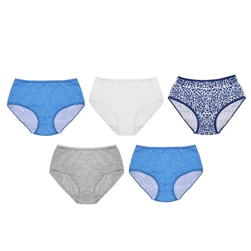 Ladies 5 Pack Animal & Spot Midi Briefs by Anucci Underwear