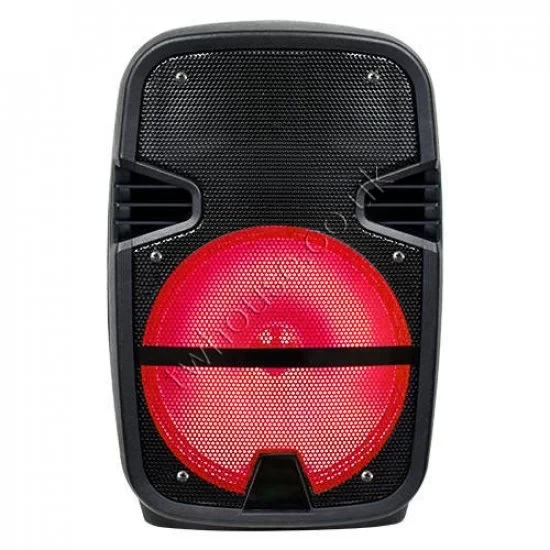 8 Inch Max Power Bluetooth Party Speaker BT-SPK800
